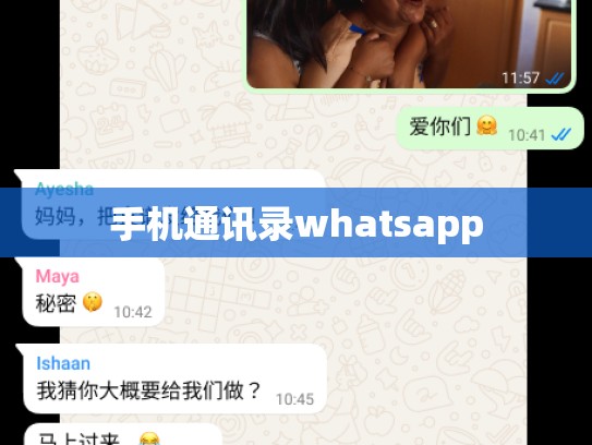 手机通讯录whatsapp