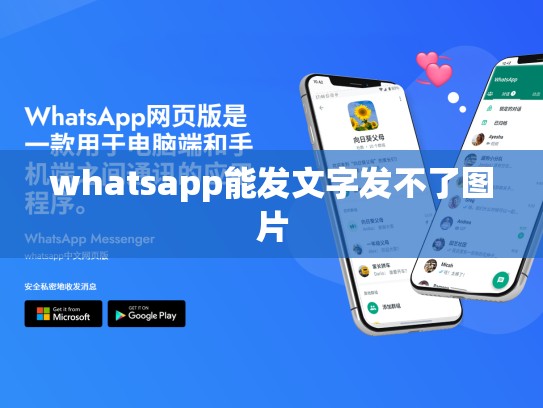whatsapp能发文字发不了图片
