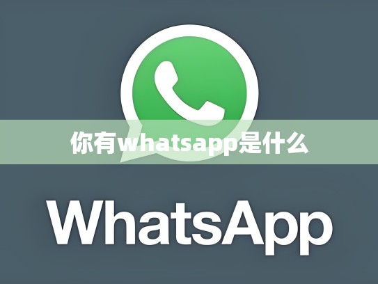 你有whatsapp是什么