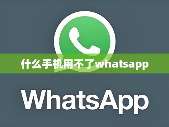 什么手机用不了whatsapp