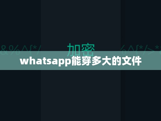 whatsapp能穿多大的文件