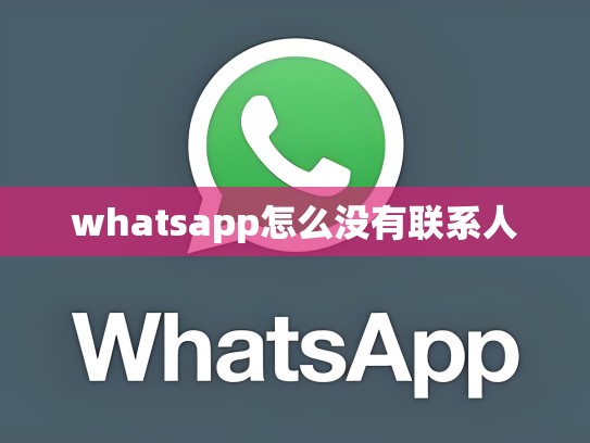 whatsapp怎么没有联系人