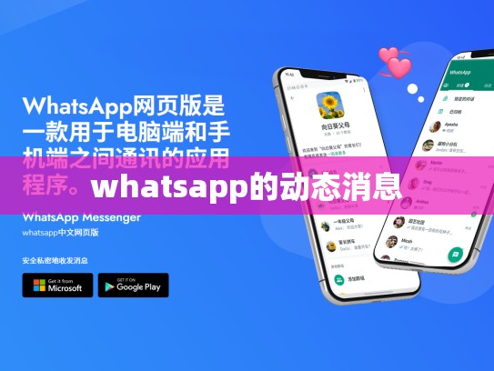 whatsapp的动态消息