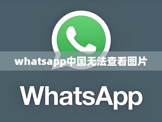 whatsapp中国无法查看图片