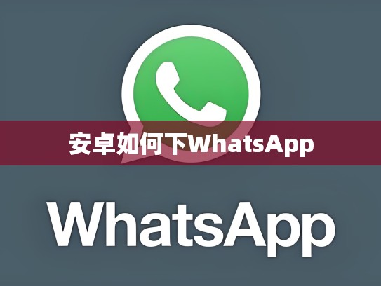 安卓如何下WhatsApp