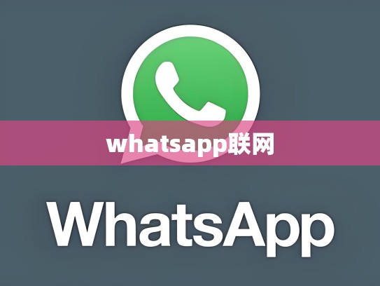 whatsapp联网