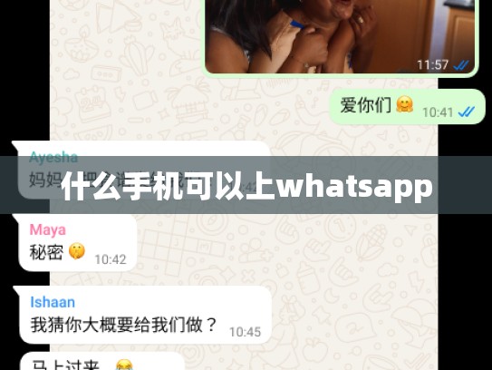 什么手机可以上whatsapp