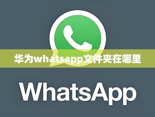 华为whatsapp文件夹在哪里