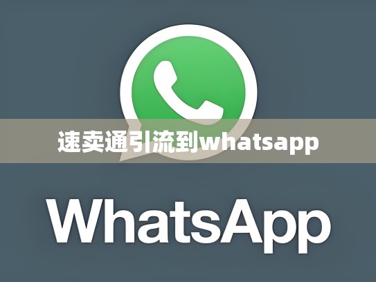 速卖通引流到whatsapp