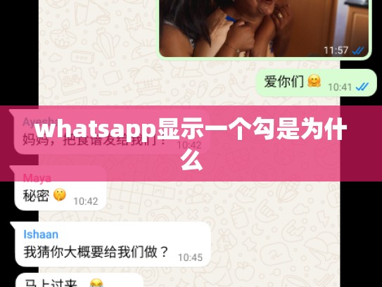 whatsapp显示一个勾是为什么