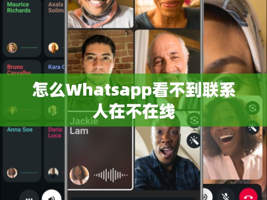 怎么Whatsapp看不到联系人在不在线