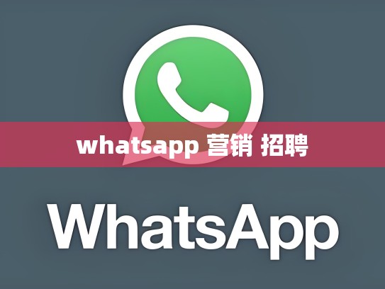 whatsapp 营销 招聘