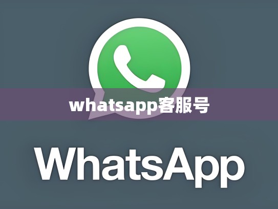 whatsapp客服号