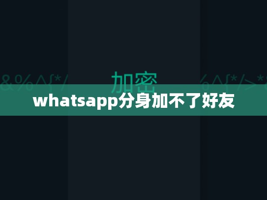 whatsapp分身加不了好友