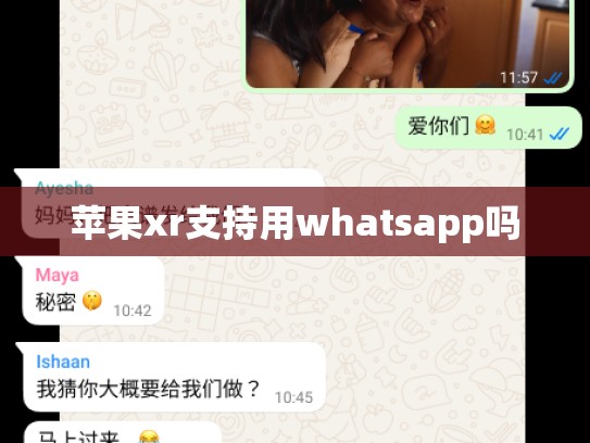 苹果xr支持用whatsapp吗