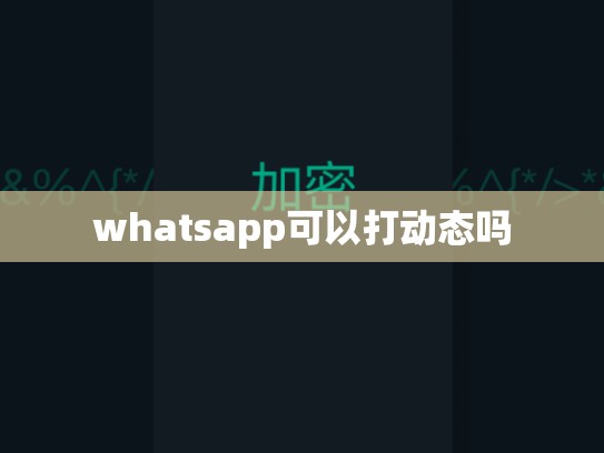 whatsapp可以打动态吗
