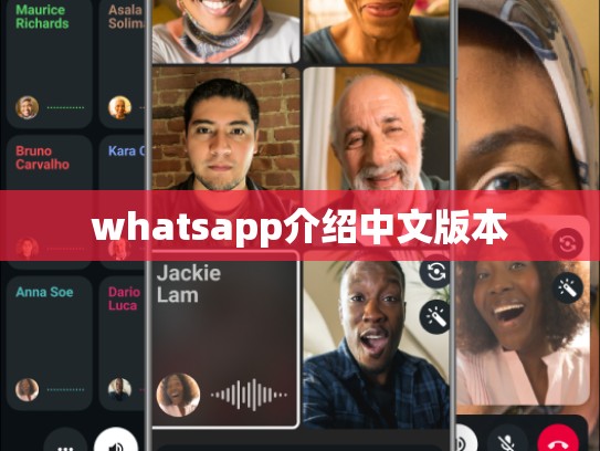 whatsapp介绍中文版本