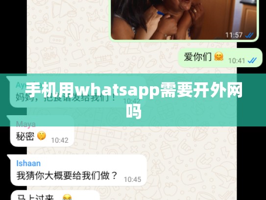 手机用whatsapp需要开外网吗