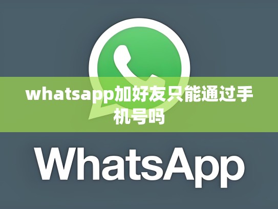 whatsapp加好友只能通过手机号吗