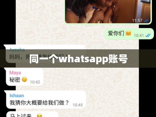 同一个whatsapp账号