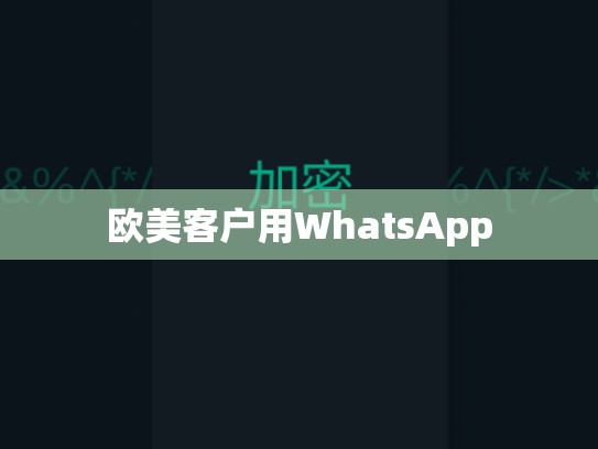 欧美客户用WhatsApp