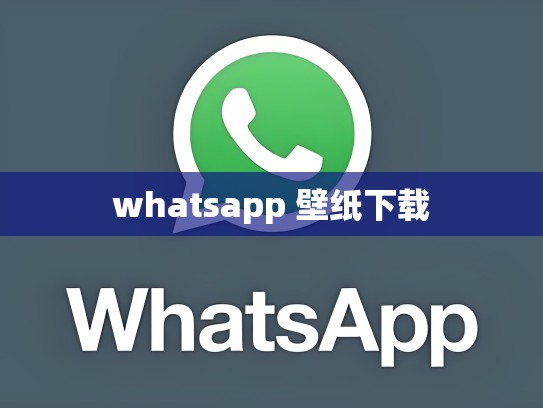 whatsapp 壁纸下载