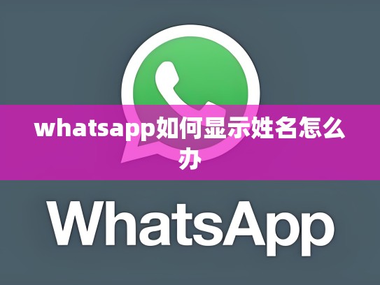 whatsapp如何显示姓名怎么办