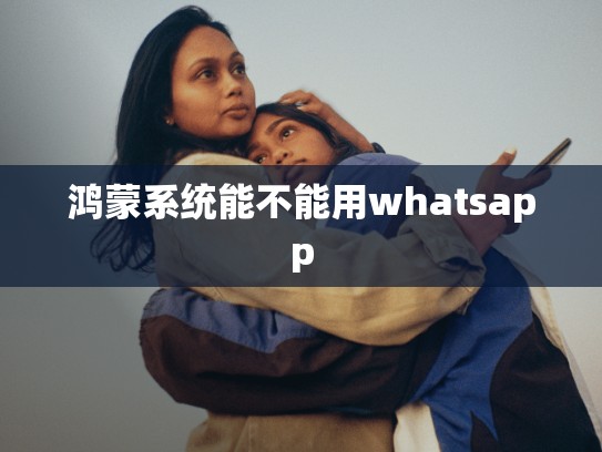 鸿蒙系统能不能用whatsapp