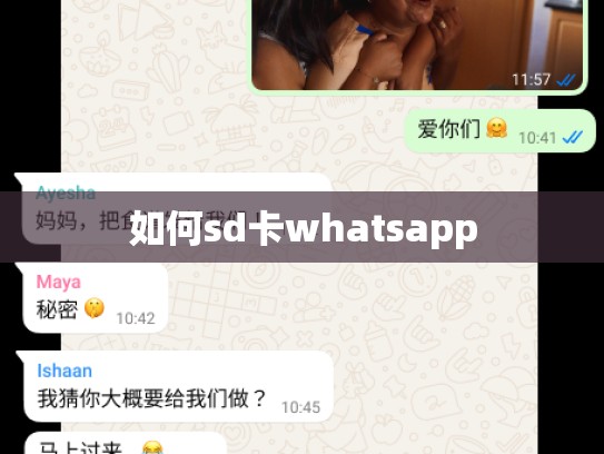 如何sd卡whatsapp