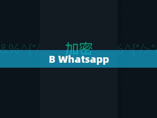 B Whatsapp