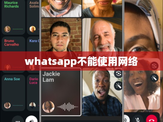 whatsapp不能使用网络