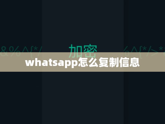 whatsapp怎么复制信息