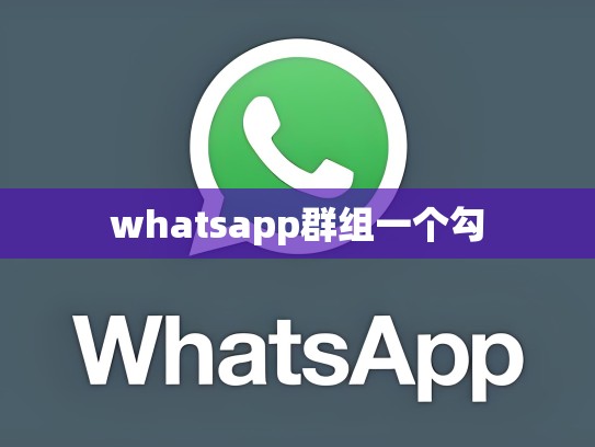whatsapp群组一个勾