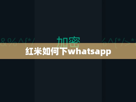 红米如何下whatsapp