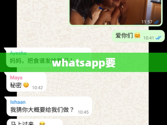 whatsapp要