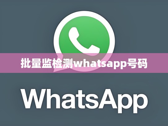 批量监检测whatsapp号码