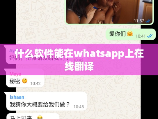 什么软件能在whatsapp上在线翻译