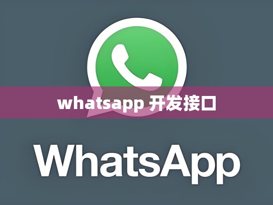 whatsapp 开发接口