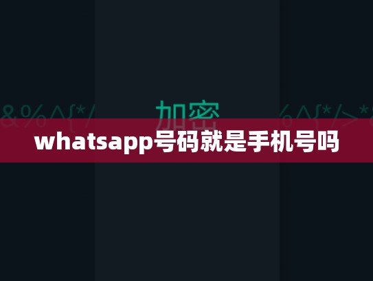 whatsapp号码就是手机号吗