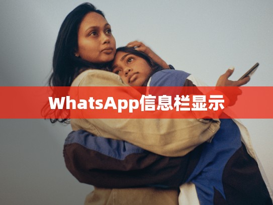 WhatsApp信息栏显示