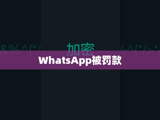 WhatsApp被罚款
