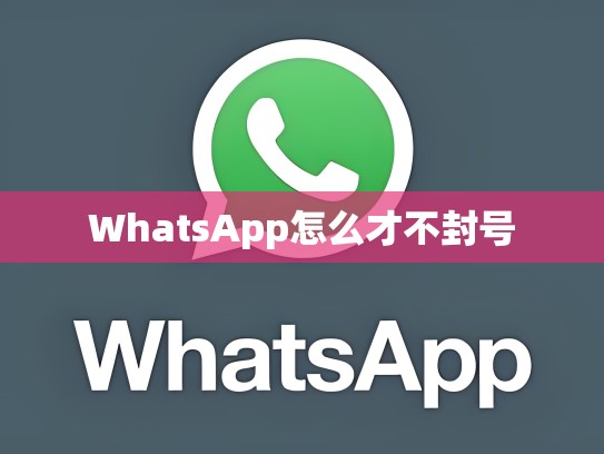 WhatsApp怎么才不封号