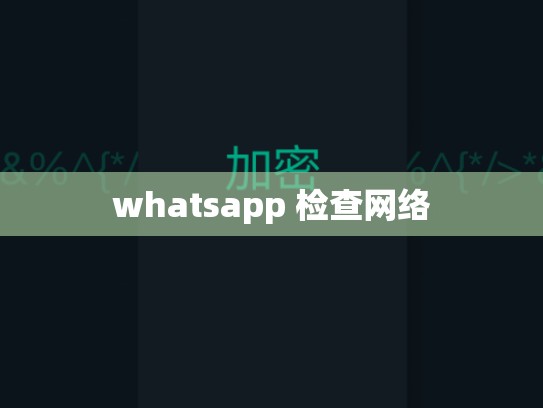 whatsapp 检查网络