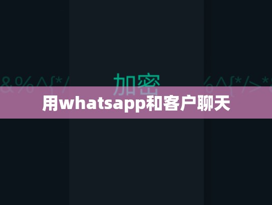 用whatsapp和客户聊天