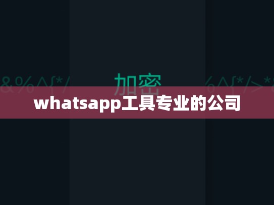 whatsapp工具专业的公司
