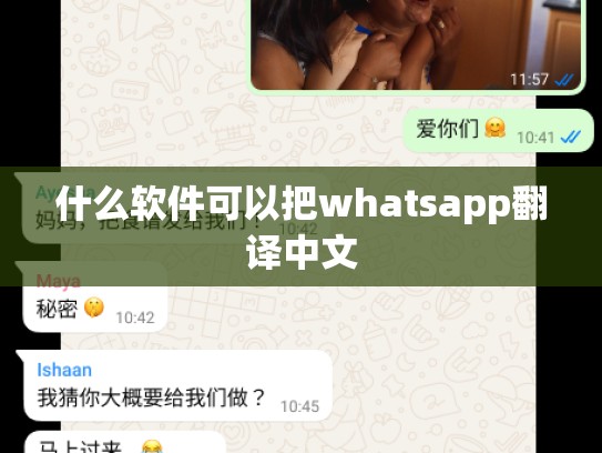 什么软件可以把whatsapp翻译中文