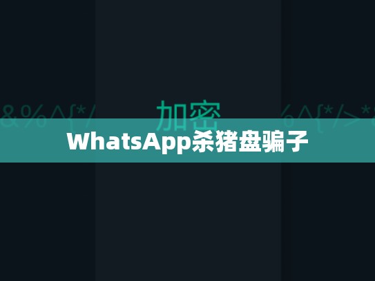 WhatsApp杀猪盘骗子