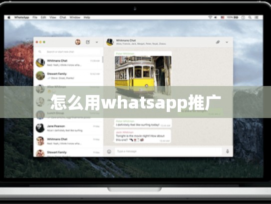 怎么用whatsapp推广