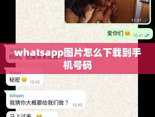 whatsapp图片怎么下载到手机号码