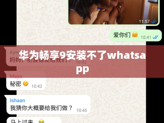 华为畅享9安装不了whatsapp